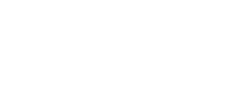 WildSteps